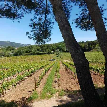 Domaine De La Navicelle Le Pradet