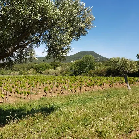 Holiday home Domaine De La Navicelle *