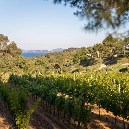 Domaine De La Navicelle *
