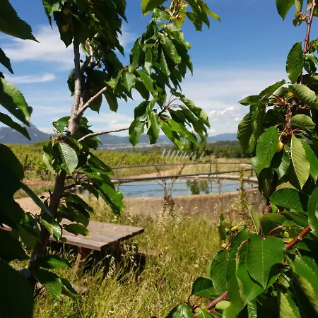 Domaine De La Navicelle * Le Pradet